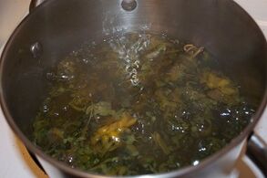 barize tratamendua decoctions